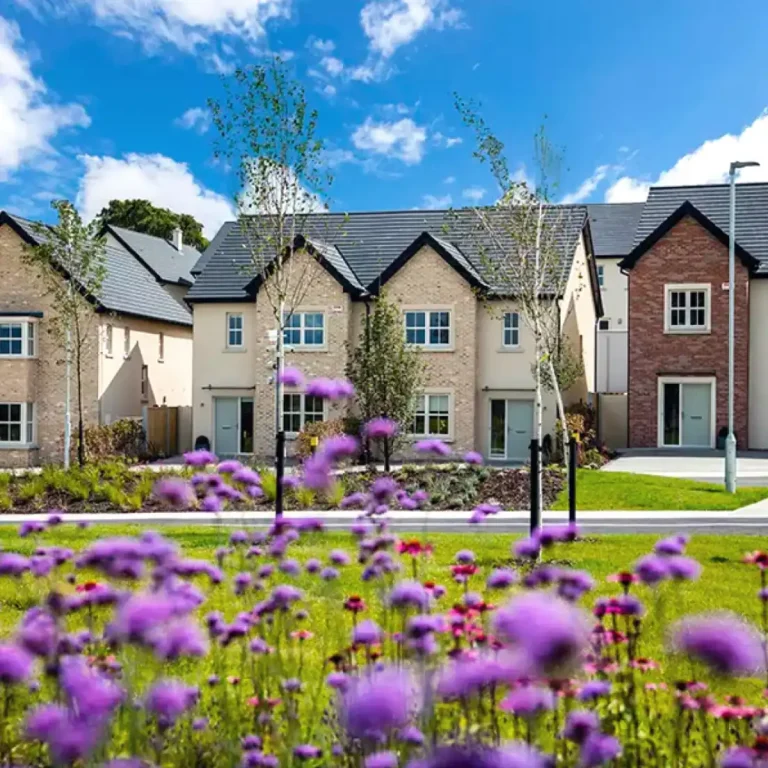 Ballymore Projects - Longstone, Naas Ballymore Projects - Longstone, Naas